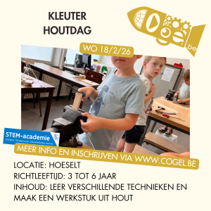 Kleuter houtdag (18/2/26)